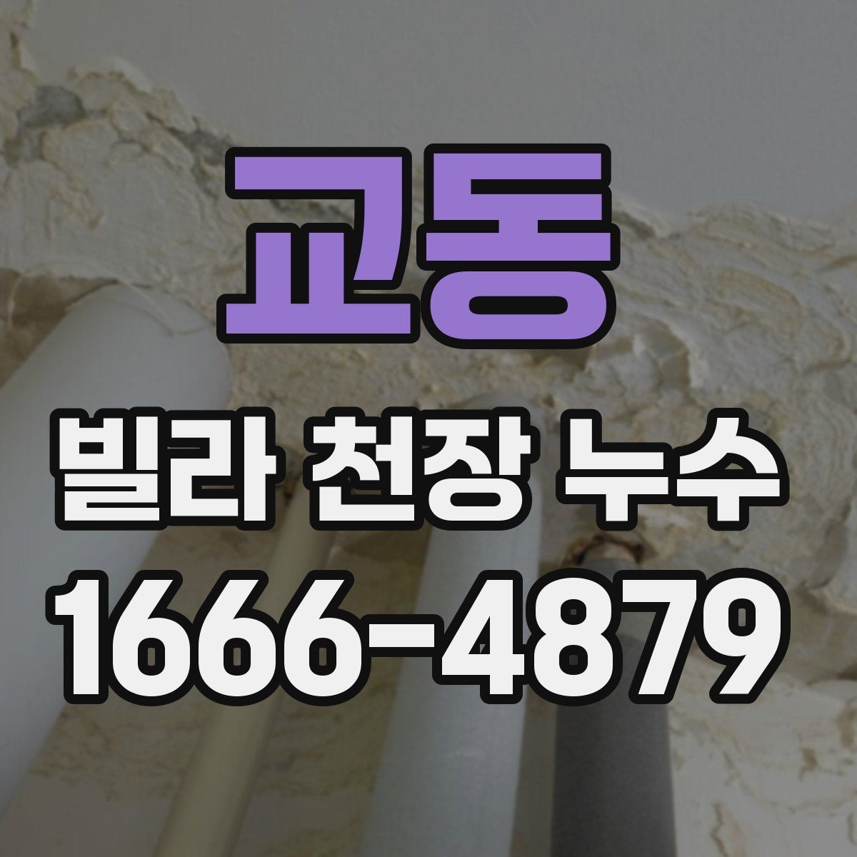 교동 빌라 천장 누수
