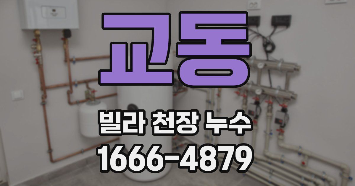 교동 빌라 천장 누수