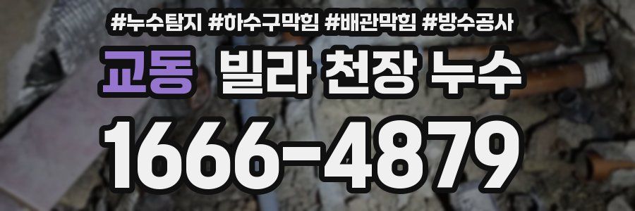 교동 빌라 천장 누수