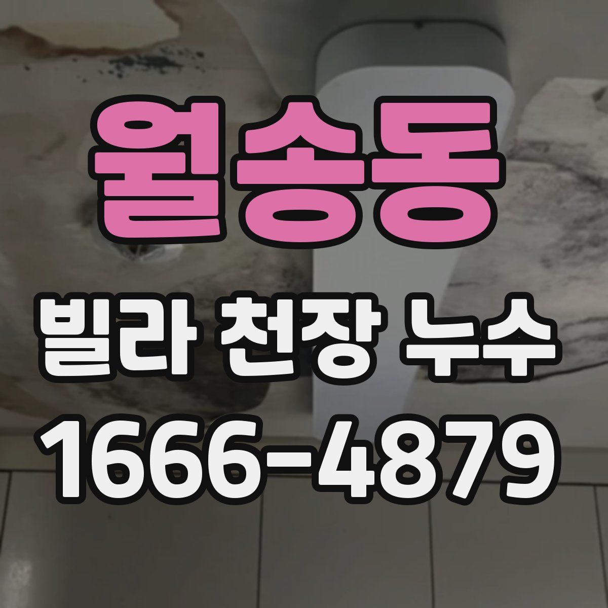 월송동 빌라 천장 누수