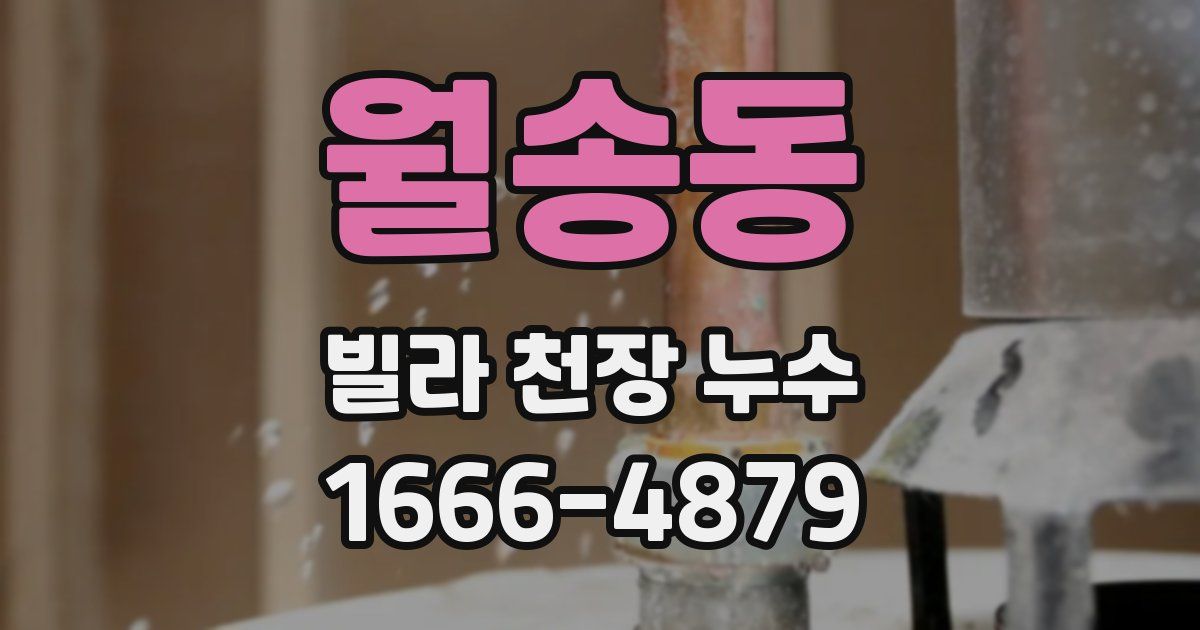 월송동 빌라 천장 누수