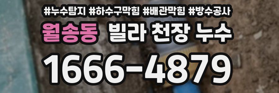 월송동 빌라 천장 누수