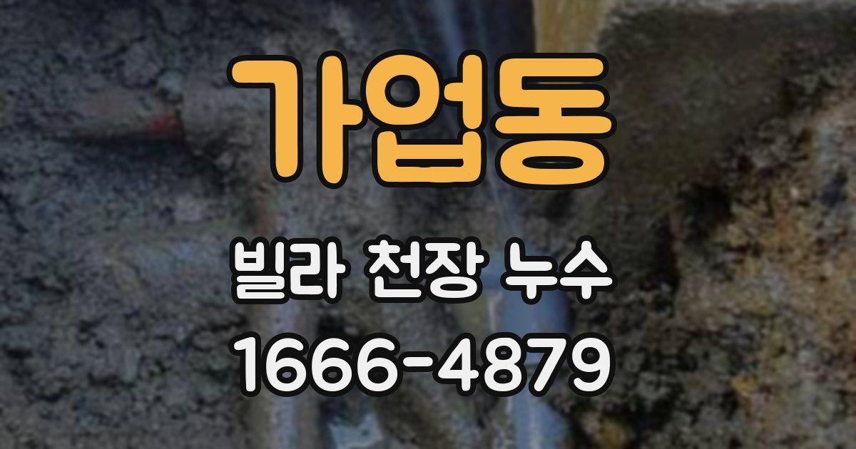 가업동 빌라 천장 누수