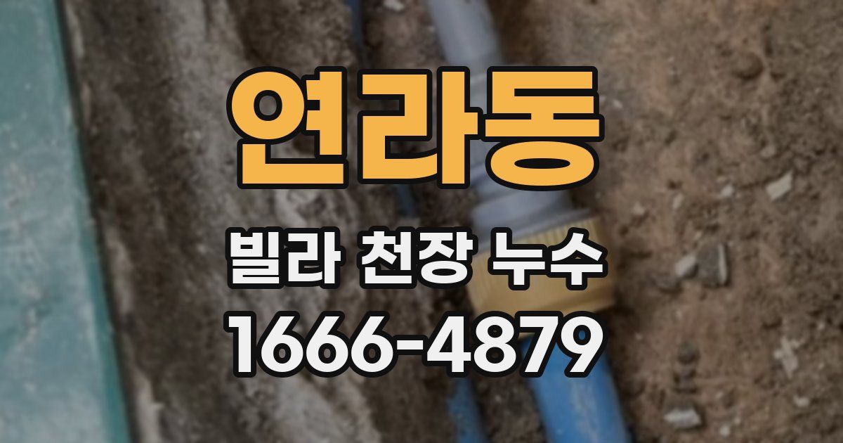 연라동 빌라 천장 누수