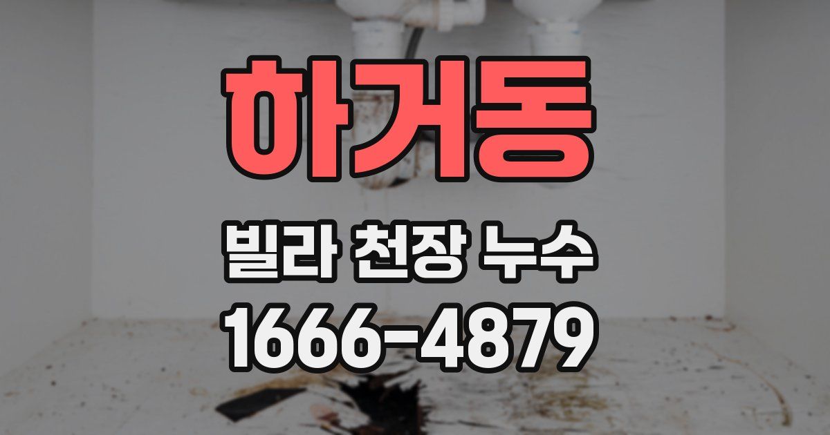 하거동 빌라 천장 누수