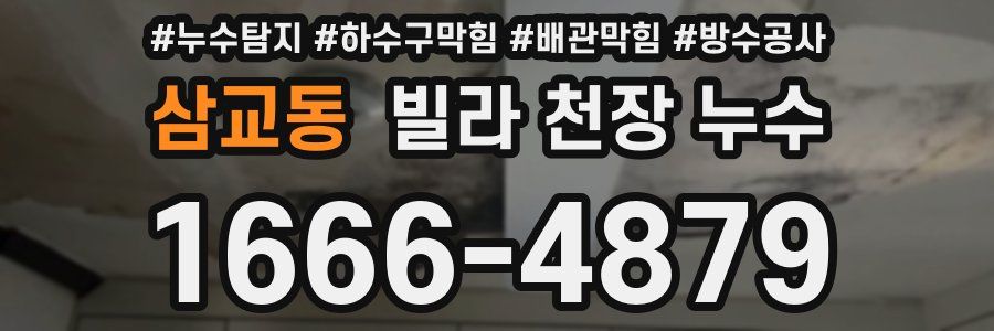 삼교동 빌라 천장 누수