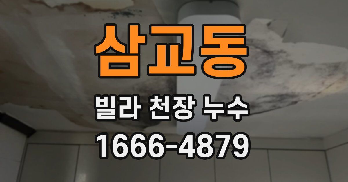 삼교동 빌라 천장 누수
