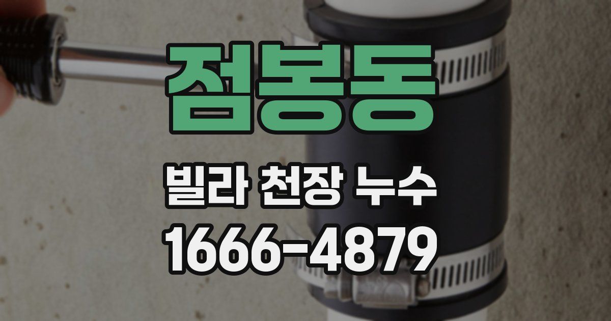점봉동 빌라 천장 누수