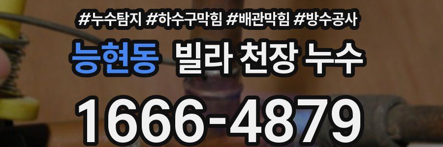 능현동 빌라 천장 누수