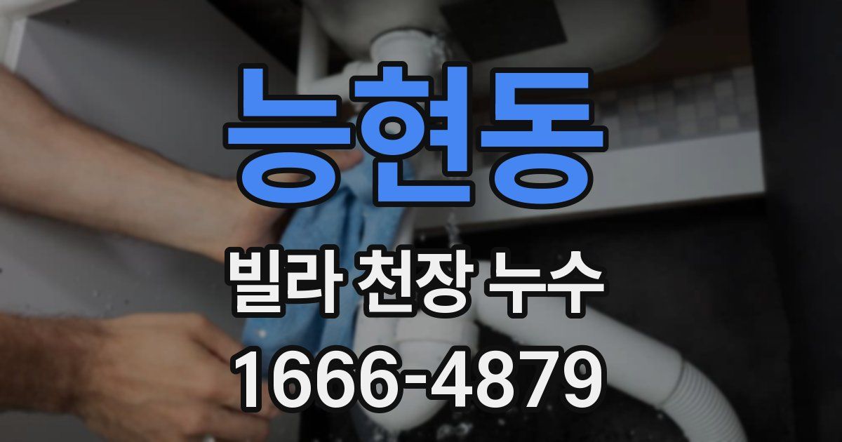 능현동 빌라 천장 누수