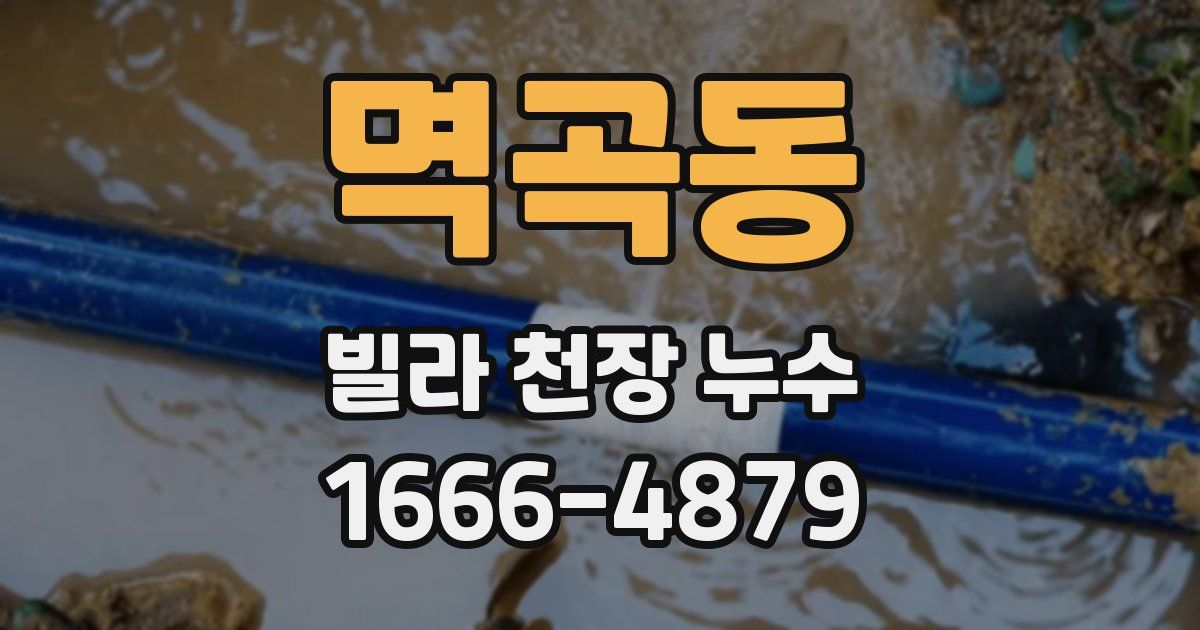 멱곡동 빌라 천장 누수