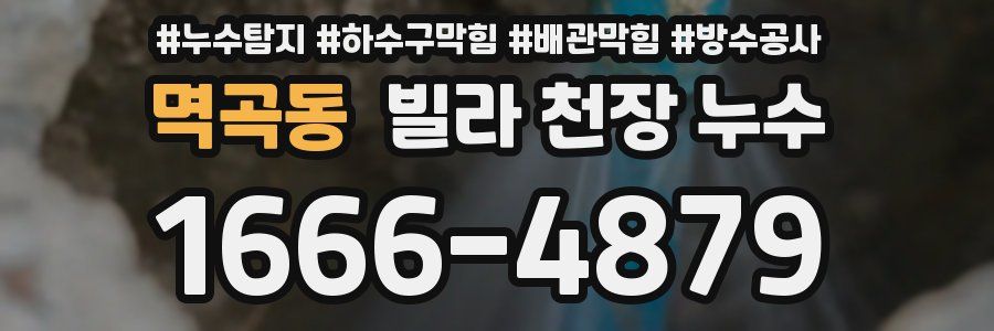 멱곡동 빌라 천장 누수