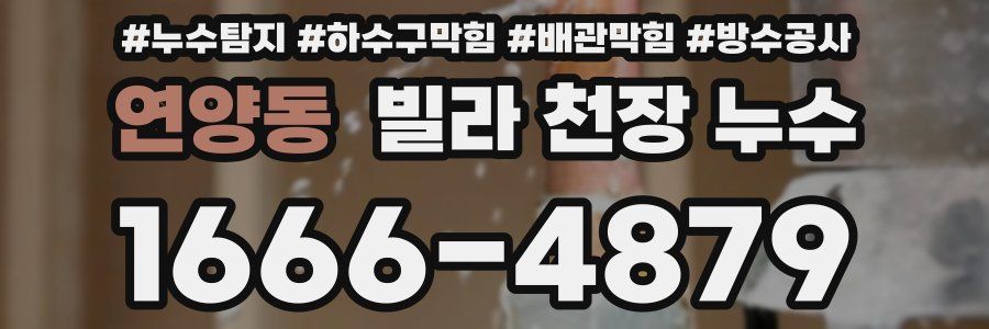 연양동 빌라 천장 누수