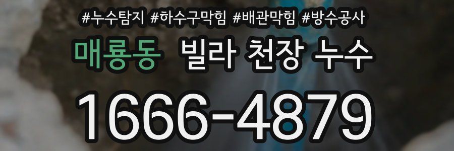 매룡동 빌라 천장 누수