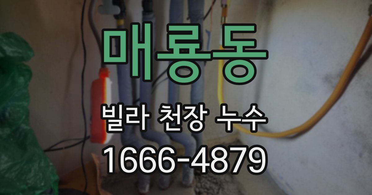매룡동 빌라 천장 누수