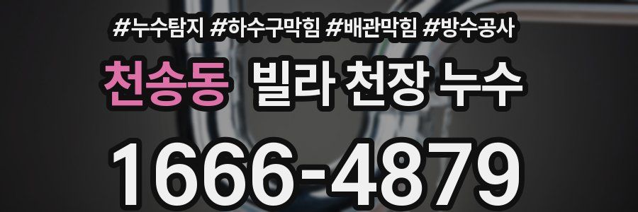 천송동 빌라 천장 누수
