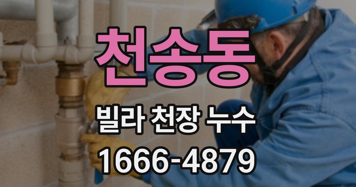 천송동 빌라 천장 누수