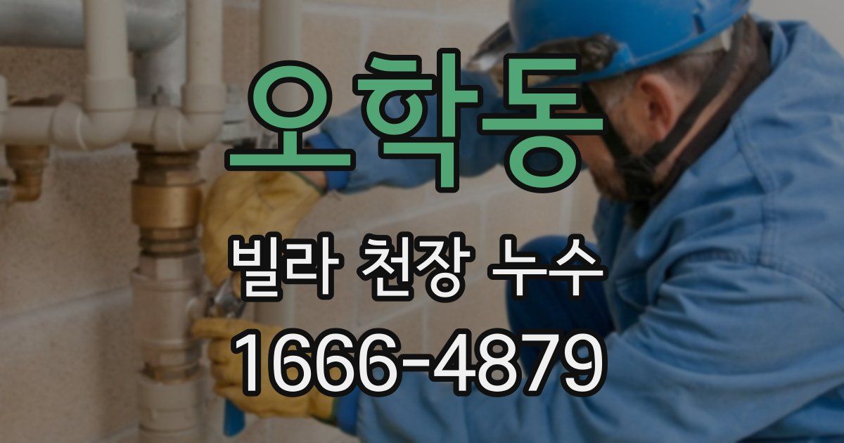 오학동 빌라 천장 누수