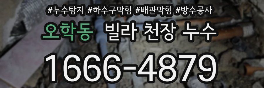 오학동 빌라 천장 누수