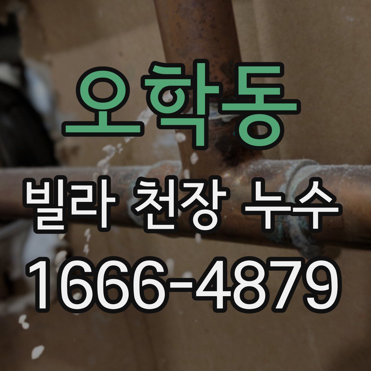 오학동 빌라 천장 누수