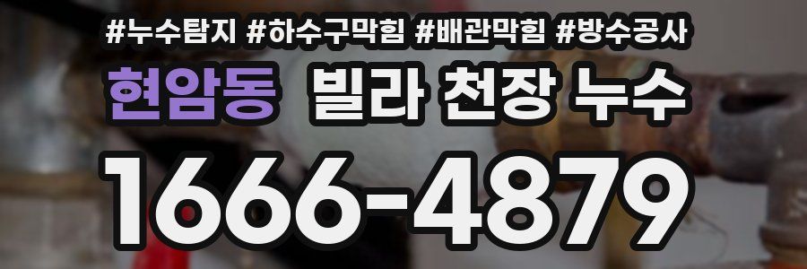 현암동 빌라 천장 누수