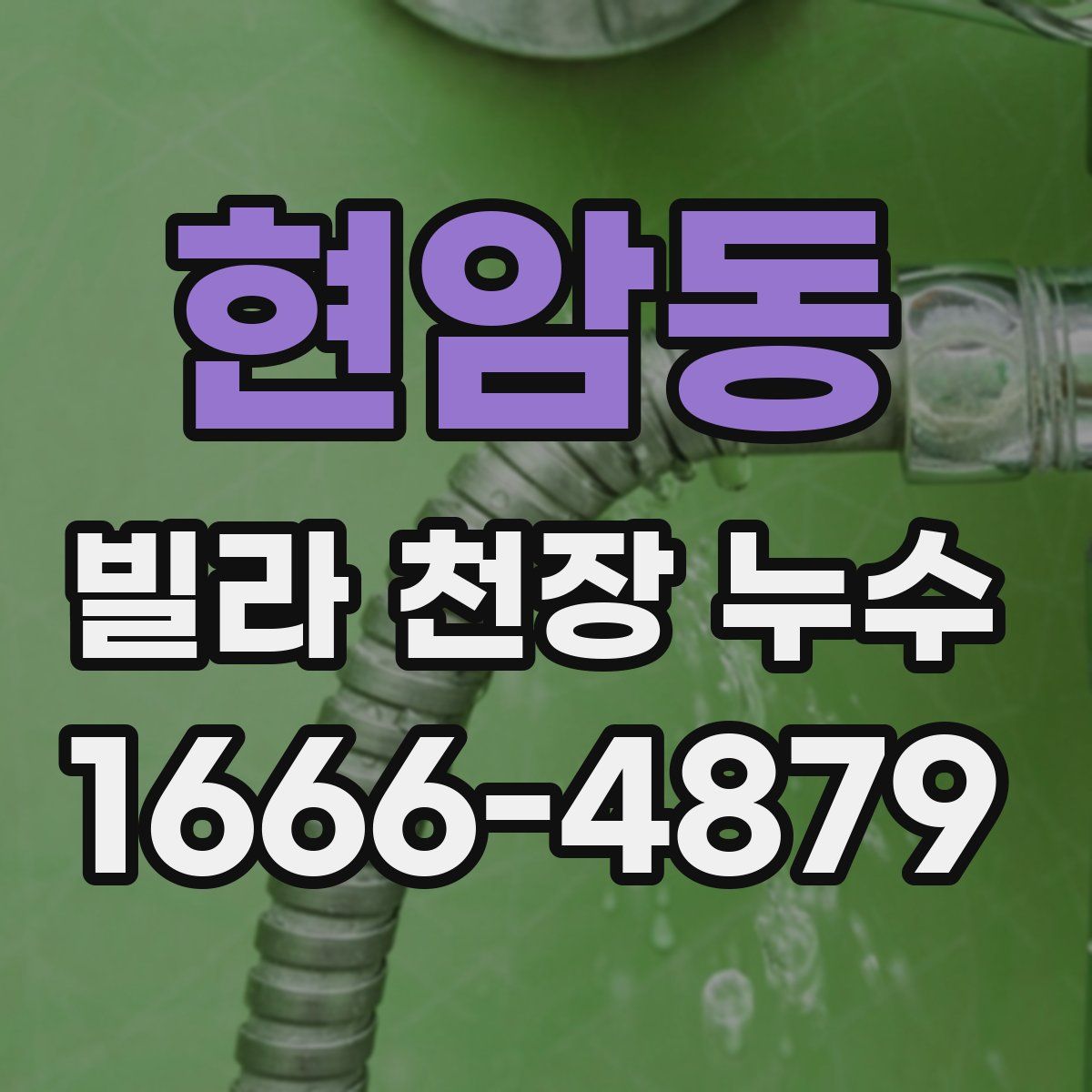 현암동 빌라 천장 누수