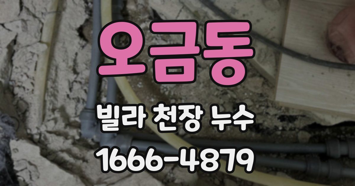 오금동 빌라 천장 누수