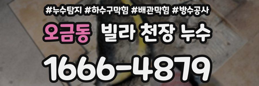 오금동 빌라 천장 누수