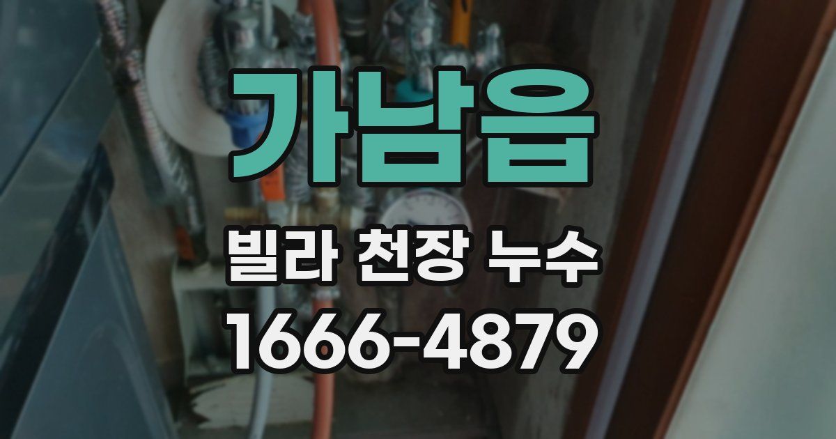 가남읍 빌라 천장 누수