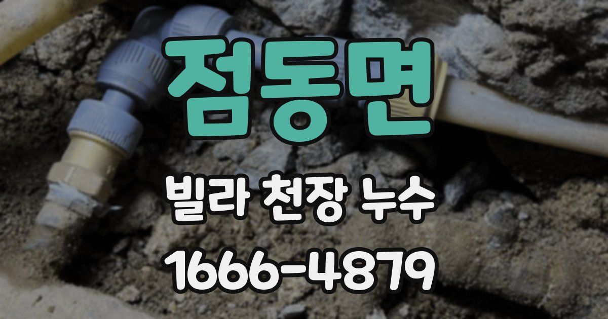 점동면 빌라 천장 누수