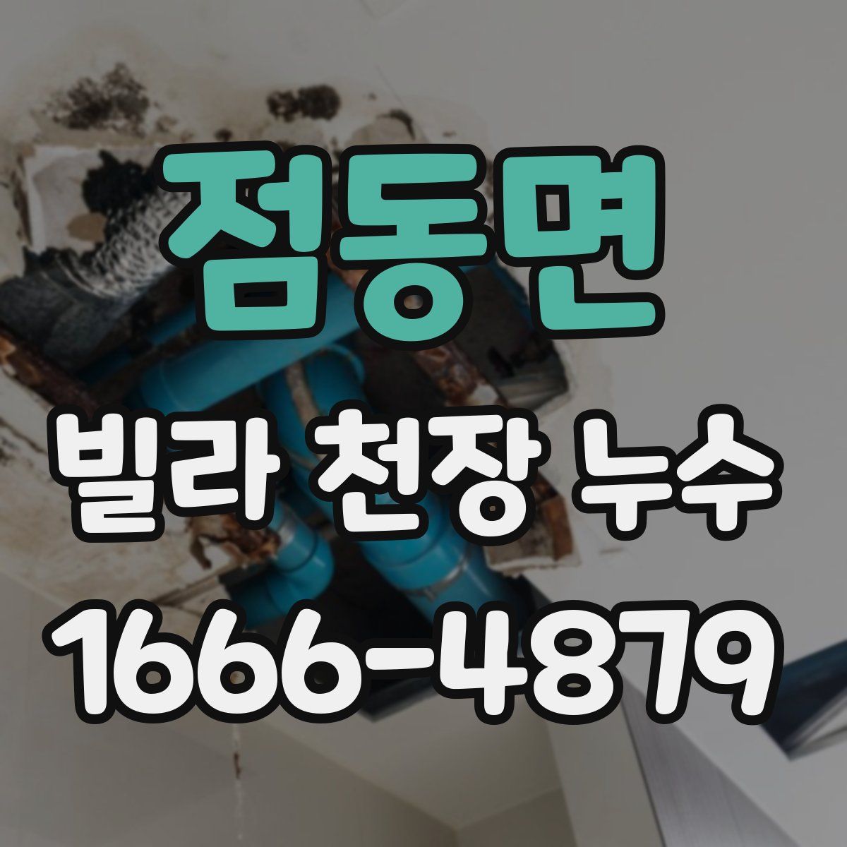 점동면 빌라 천장 누수