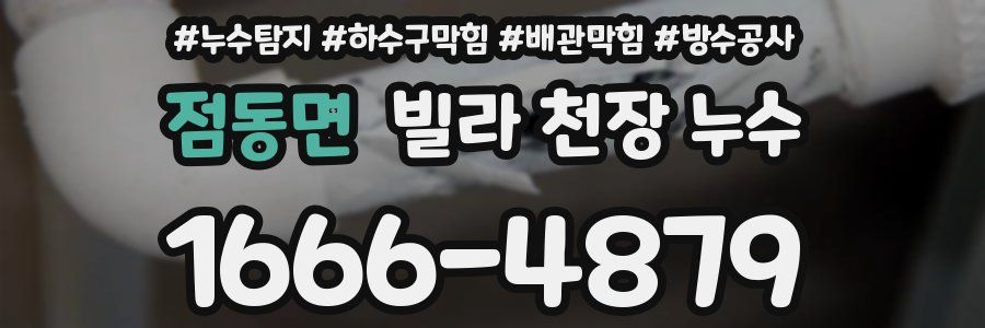 점동면 빌라 천장 누수