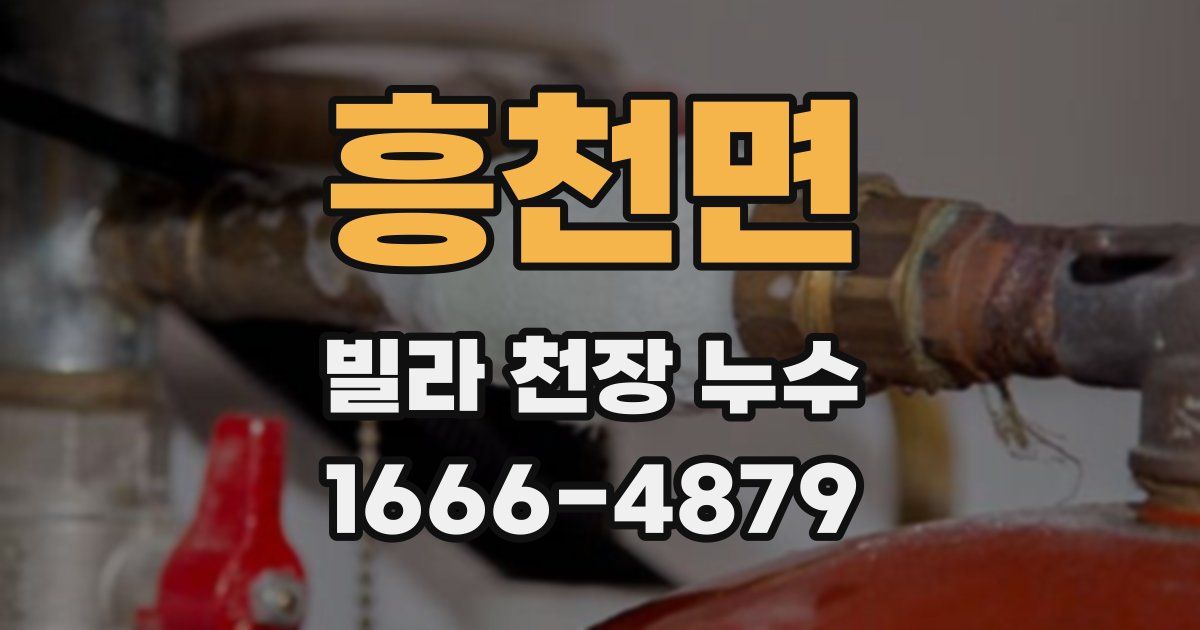 흥천면 빌라 천장 누수