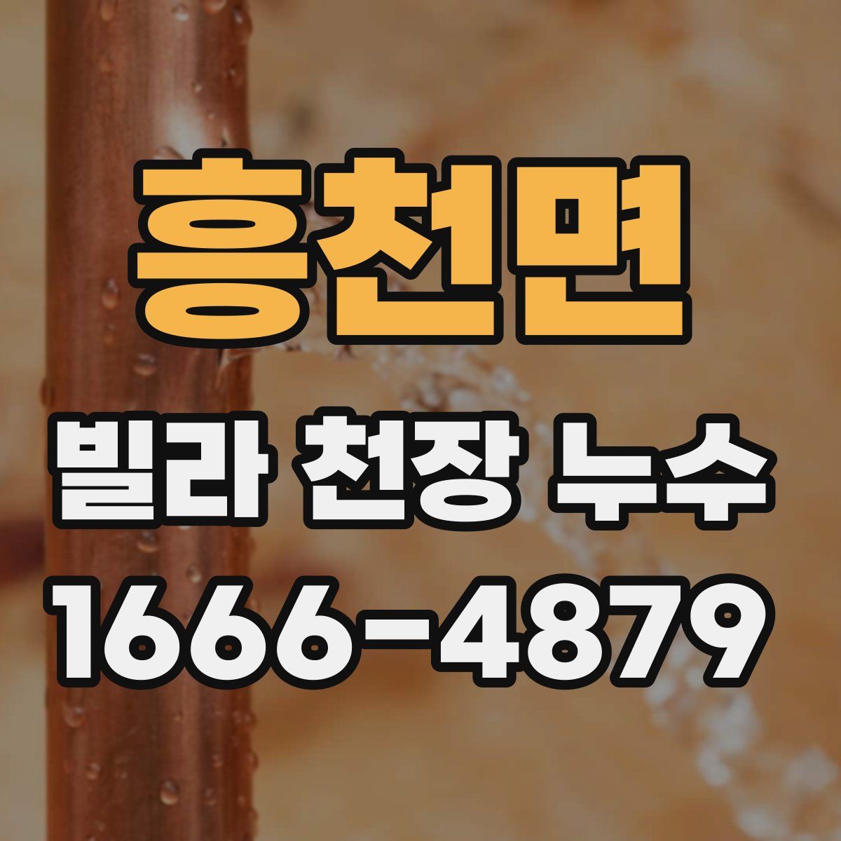 흥천면 빌라 천장 누수