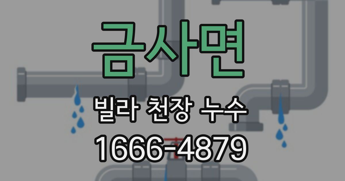 금사면 빌라 천장 누수