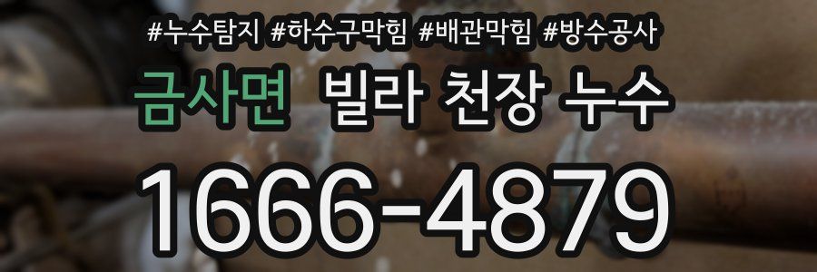 금사면 빌라 천장 누수