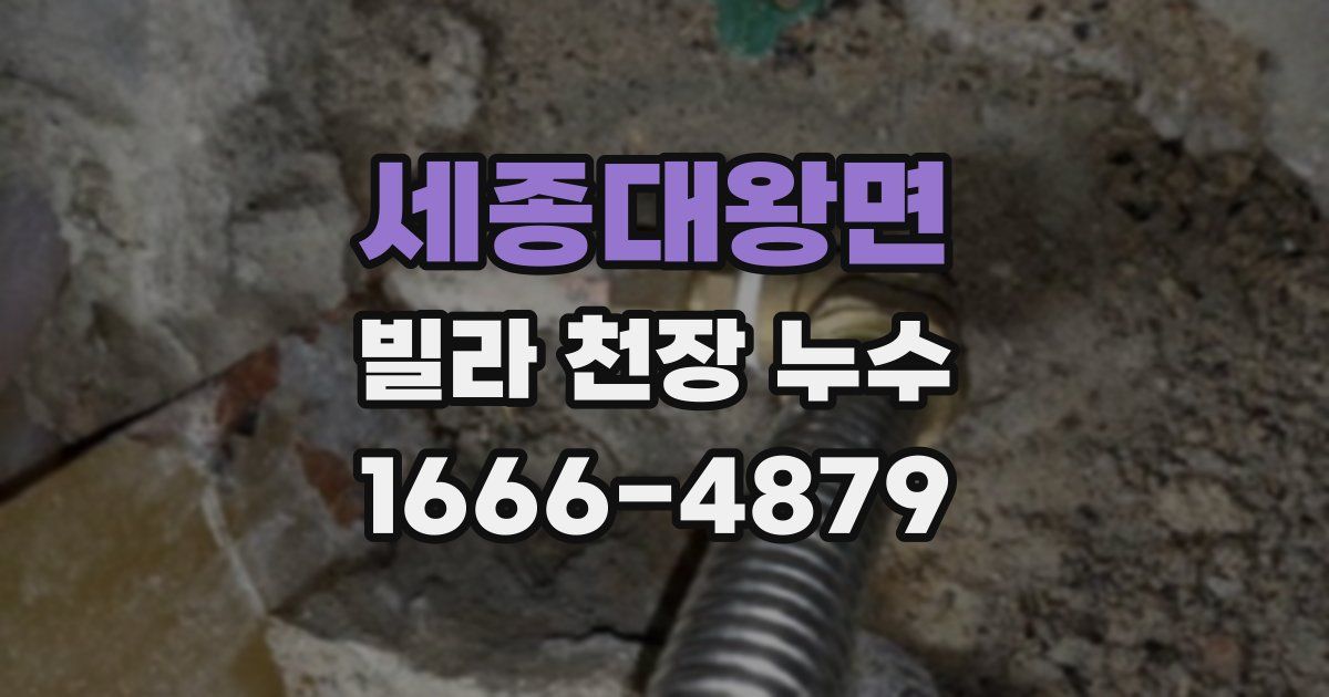 세종대왕면 빌라 천장 누수