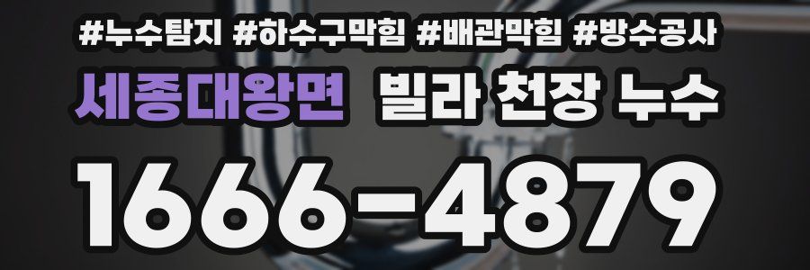 세종대왕면 빌라 천장 누수