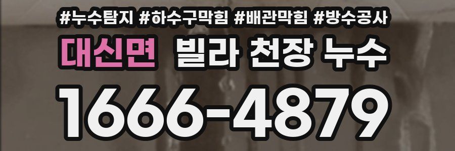 대신면 빌라 천장 누수