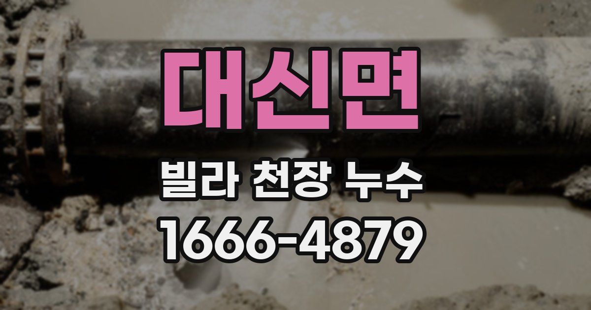 대신면 빌라 천장 누수