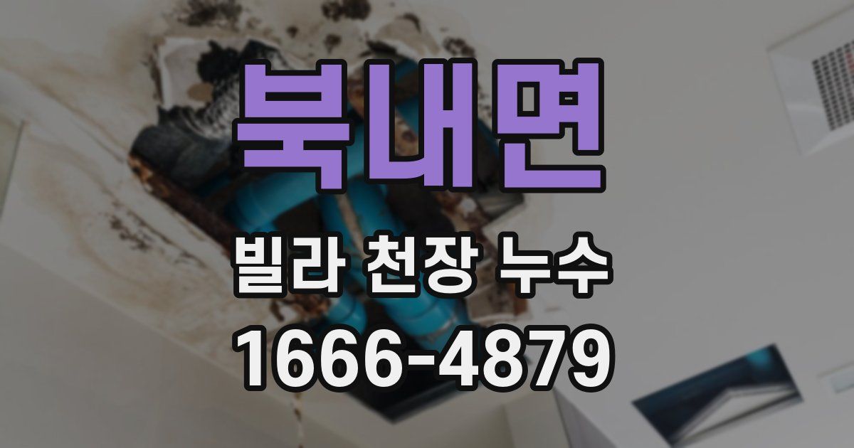 북내면 빌라 천장 누수