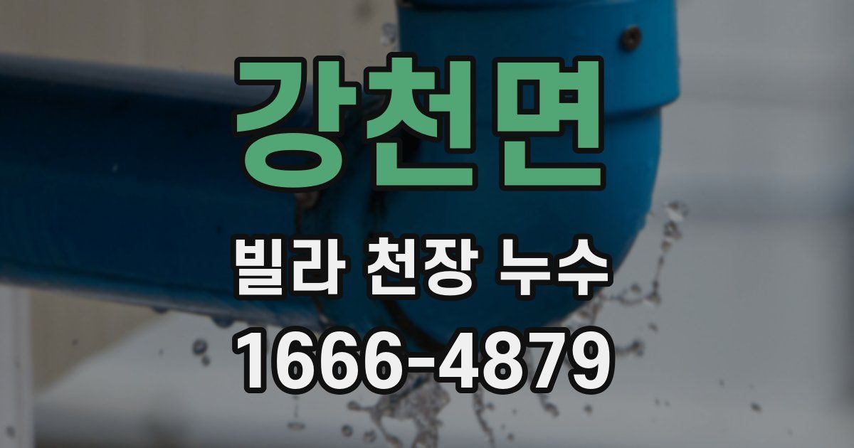 강천면 빌라 천장 누수