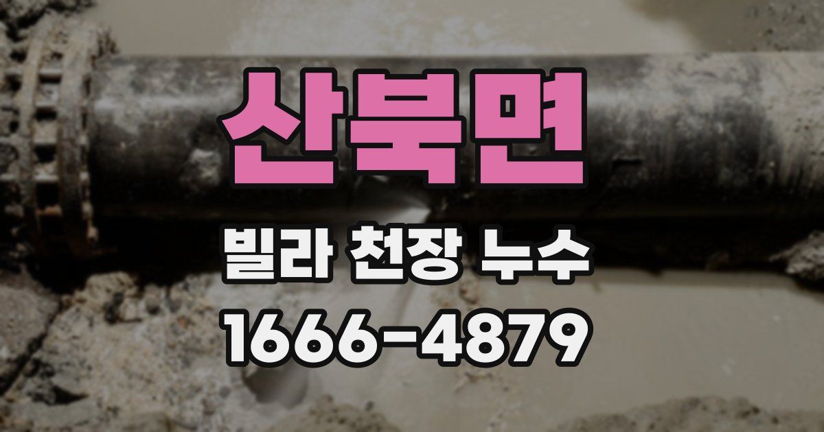 산북면 빌라 천장 누수