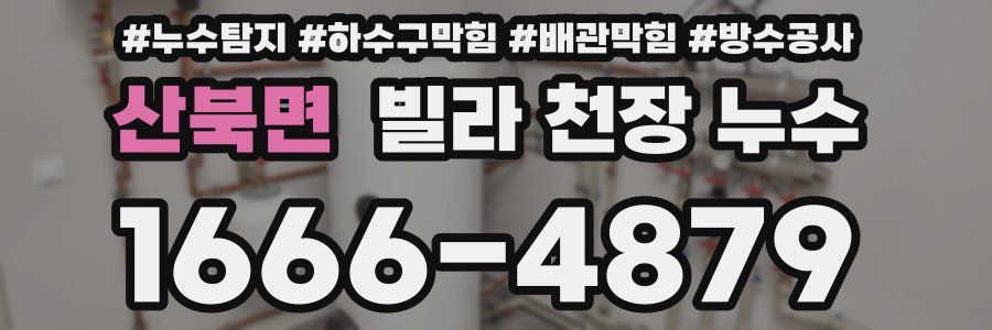 산북면 빌라 천장 누수