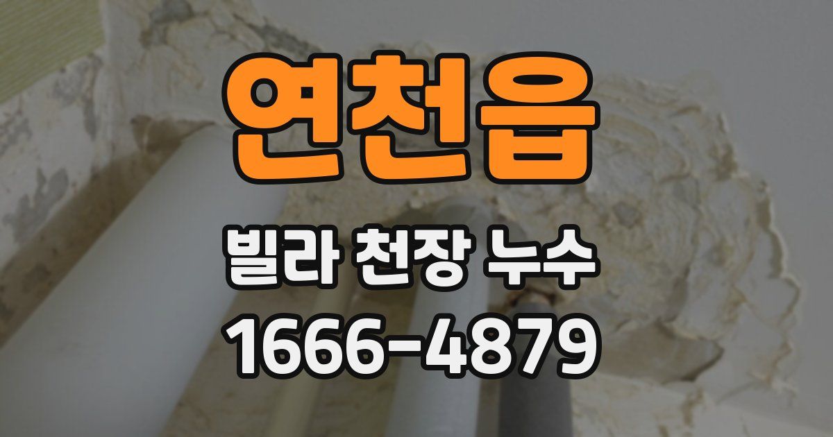 연천읍 빌라 천장 누수