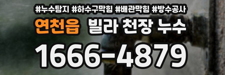 연천읍 빌라 천장 누수