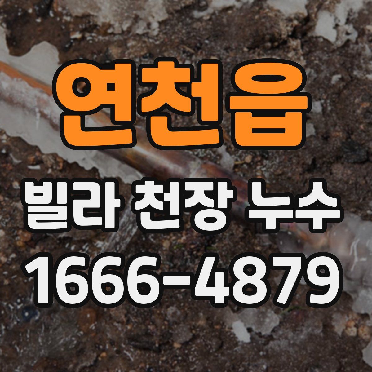 연천읍 빌라 천장 누수