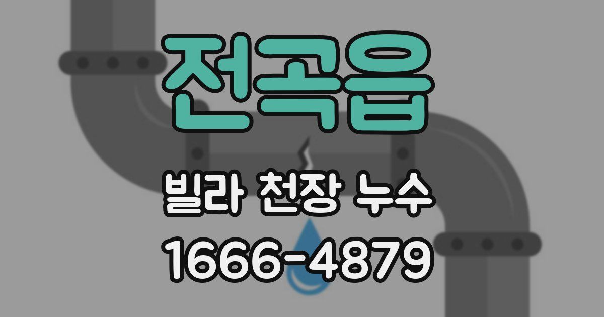 전곡읍 빌라 천장 누수
