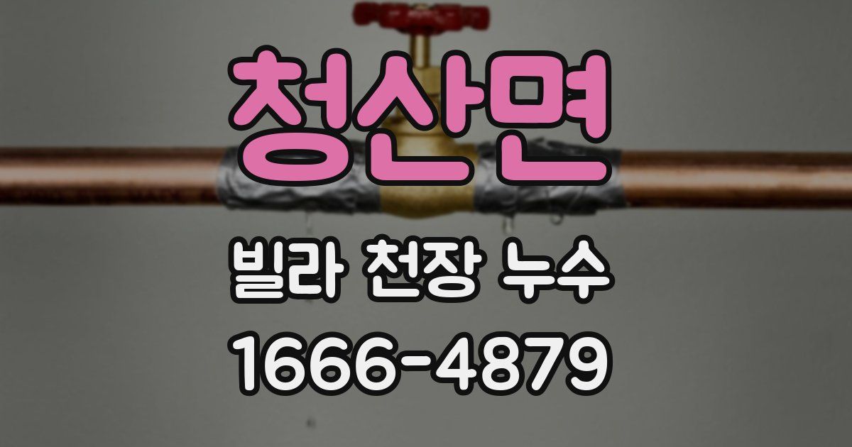 청산면 빌라 천장 누수