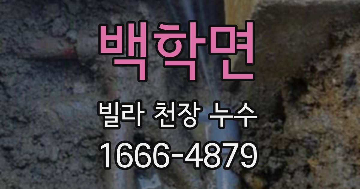 백학면 빌라 천장 누수